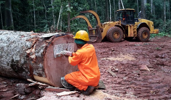 2017-05-31-12.07.23-scaled