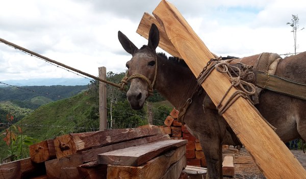 20180516_102911-scaled