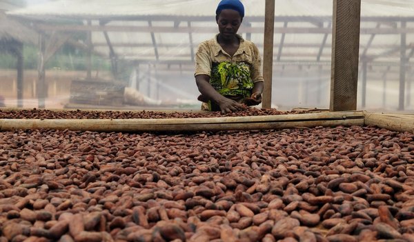 2210 Kongo - MDA (11)