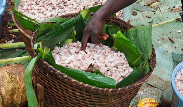 2210 Kongo - MDA (2)