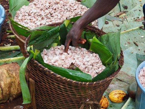 2210 Kongo - MDA (2) 