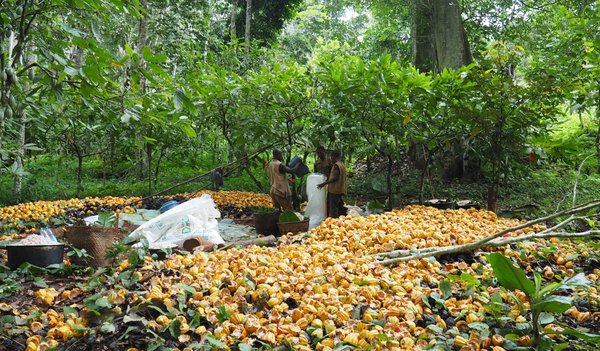 2210 Kongo - MDA (3)