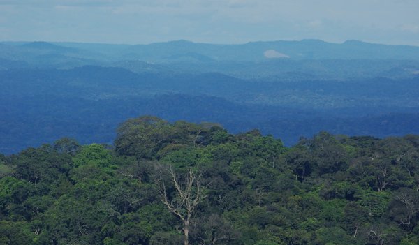 Agroforesterie_05-scaled