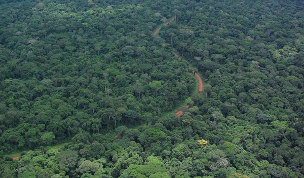 Gabon_EticWood_home_04-1