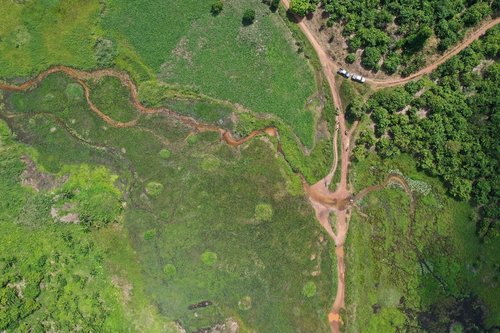 Image1