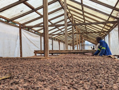 PXL_20251113_114906751 