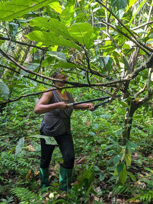 PXL_20251117_075943491