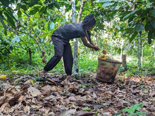 PXL_20251118_082555655