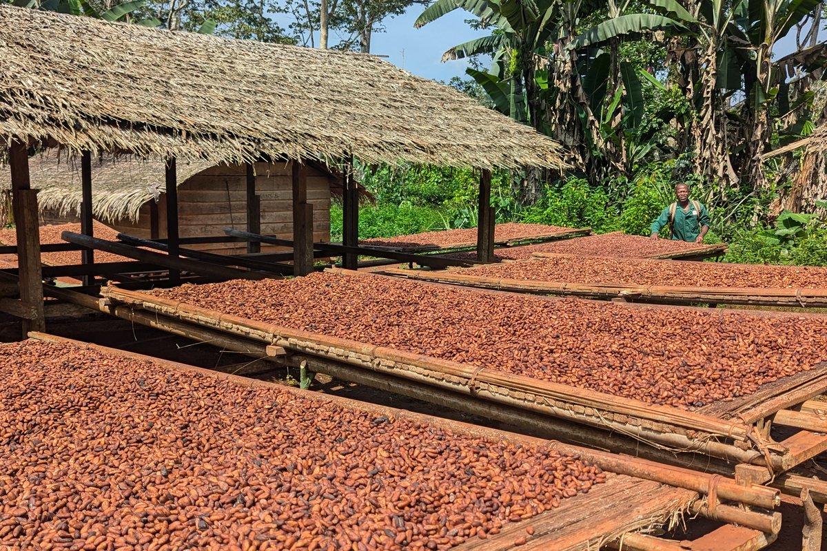 PXL_20251118_091054364