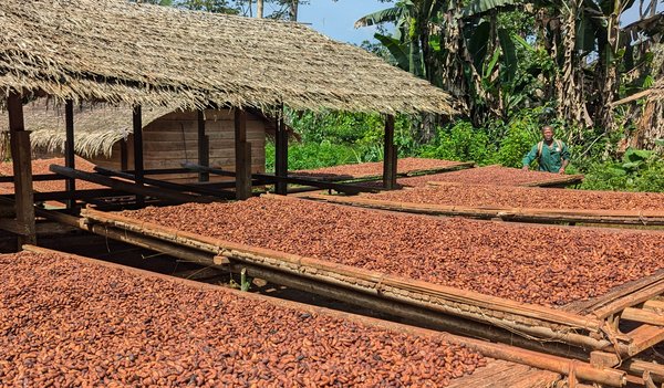 PXL_20251118_091054364