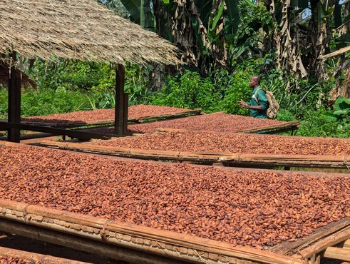 PXL_20251118_091057481 