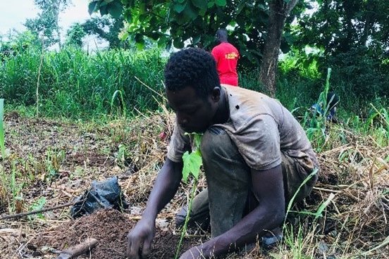 Plantation